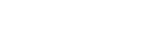 Deep Sea Electronics logo